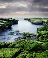 Green Weed Cove