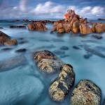 Picnic-Rocks-Mt-William-National-Park-Tasmania-Australia-#07092584