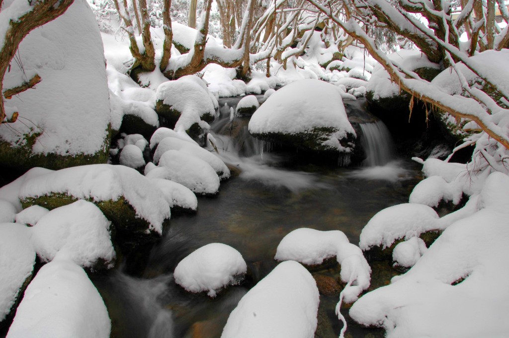 Merritt's Creek, Thredbo